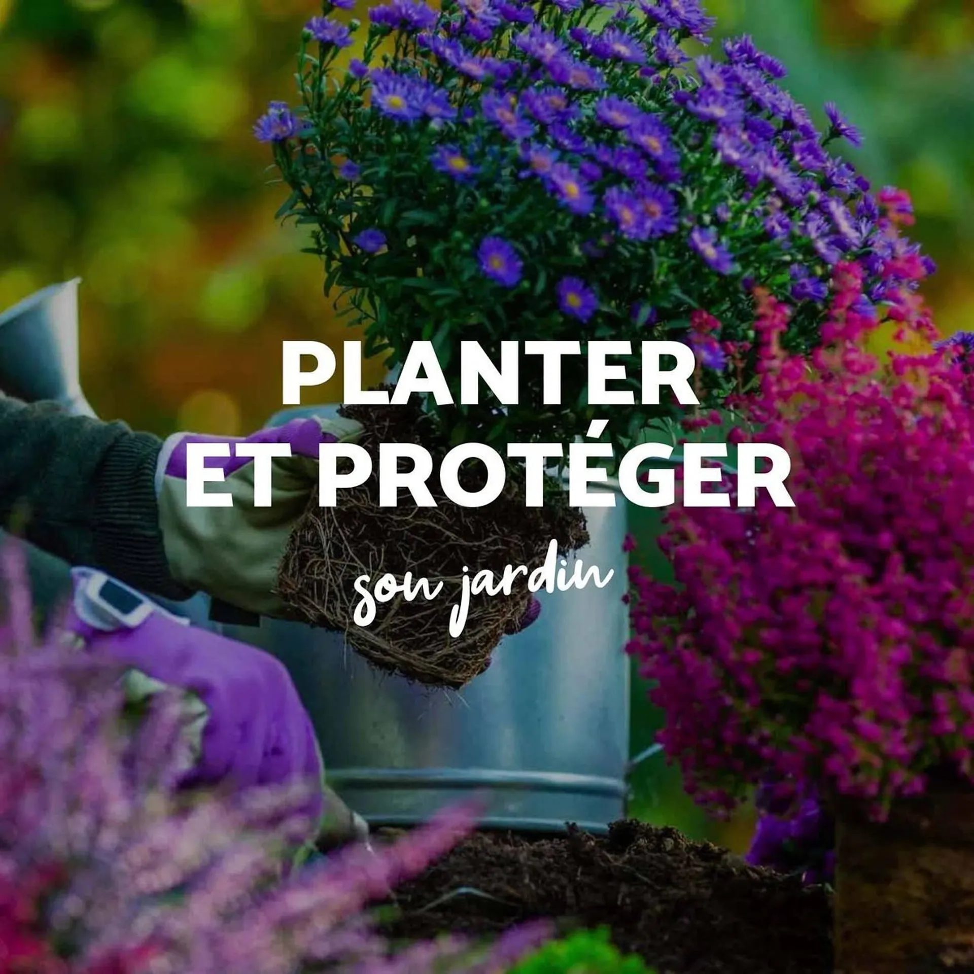 Catalogue Bricomarché du 1 octobre au 29 novembre 2025 - Catalogue page 5