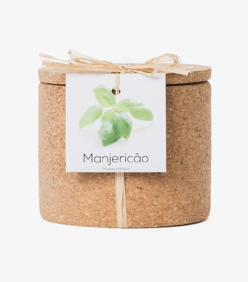 Pot liege bio basilic