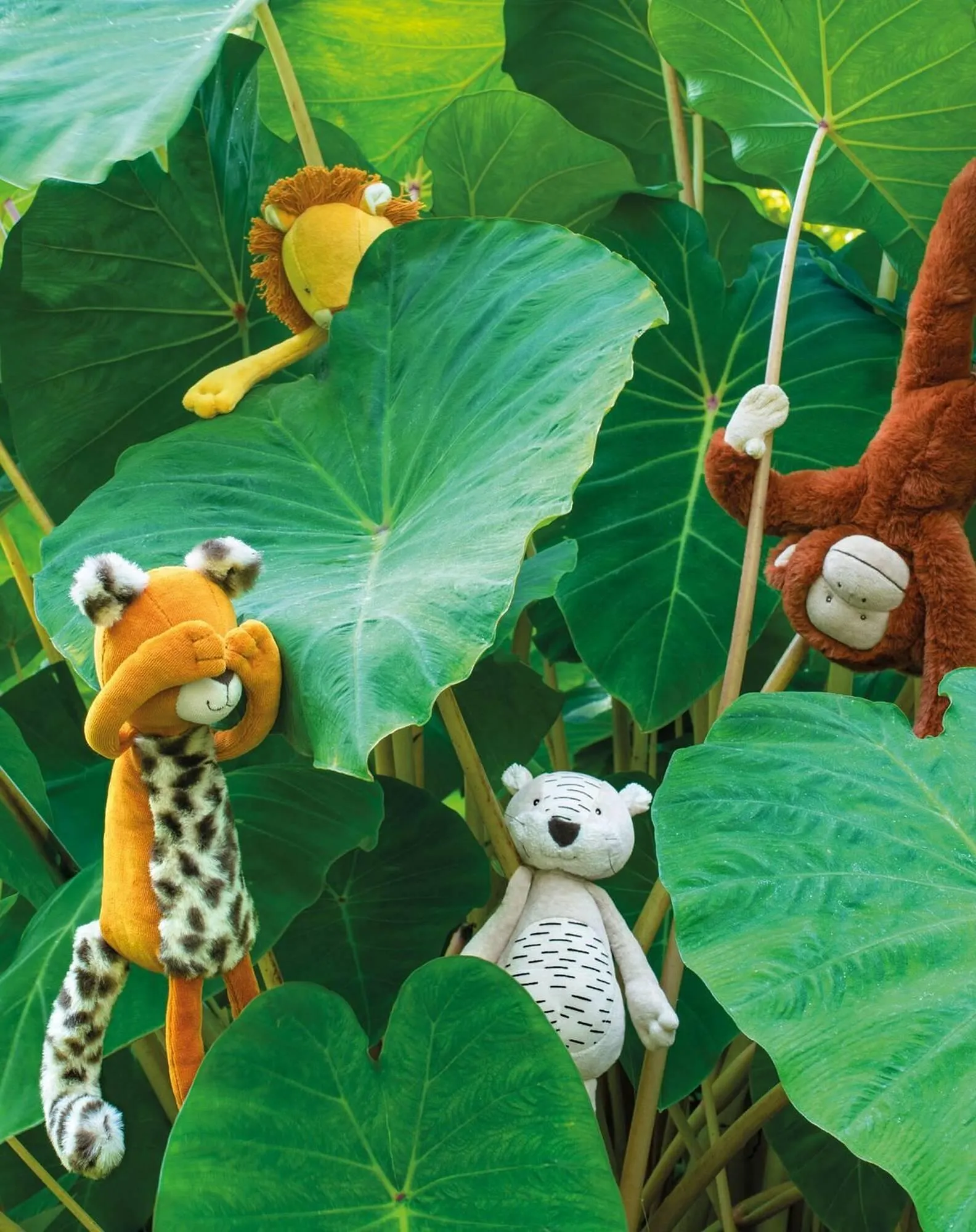 Catalogue Moulin Roty du 1 février au 28 février 2026 - Catalogue page 6