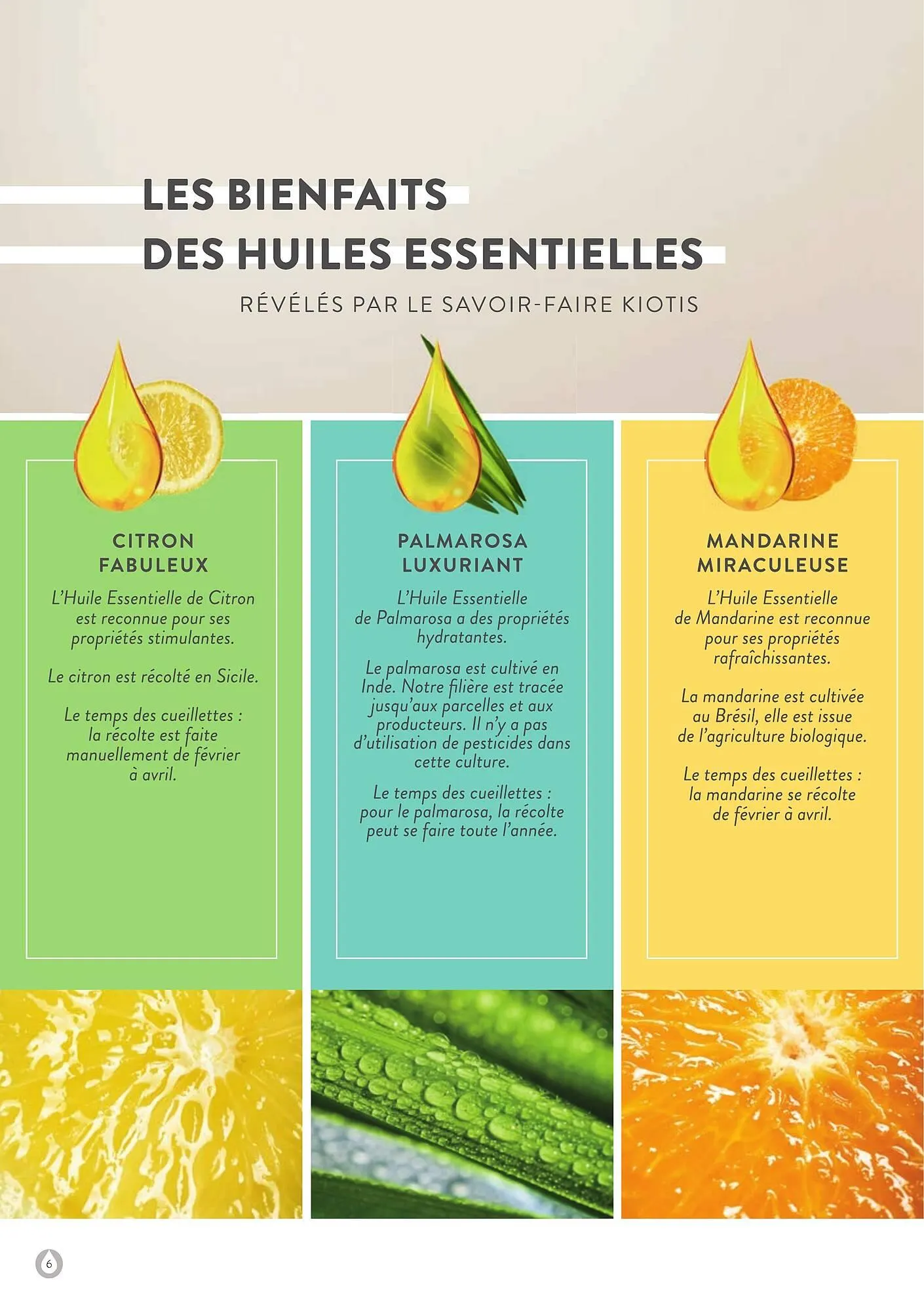 Catalogue Stanhome du 6 janvier au 31 mai 2025 - Catalogue page 6