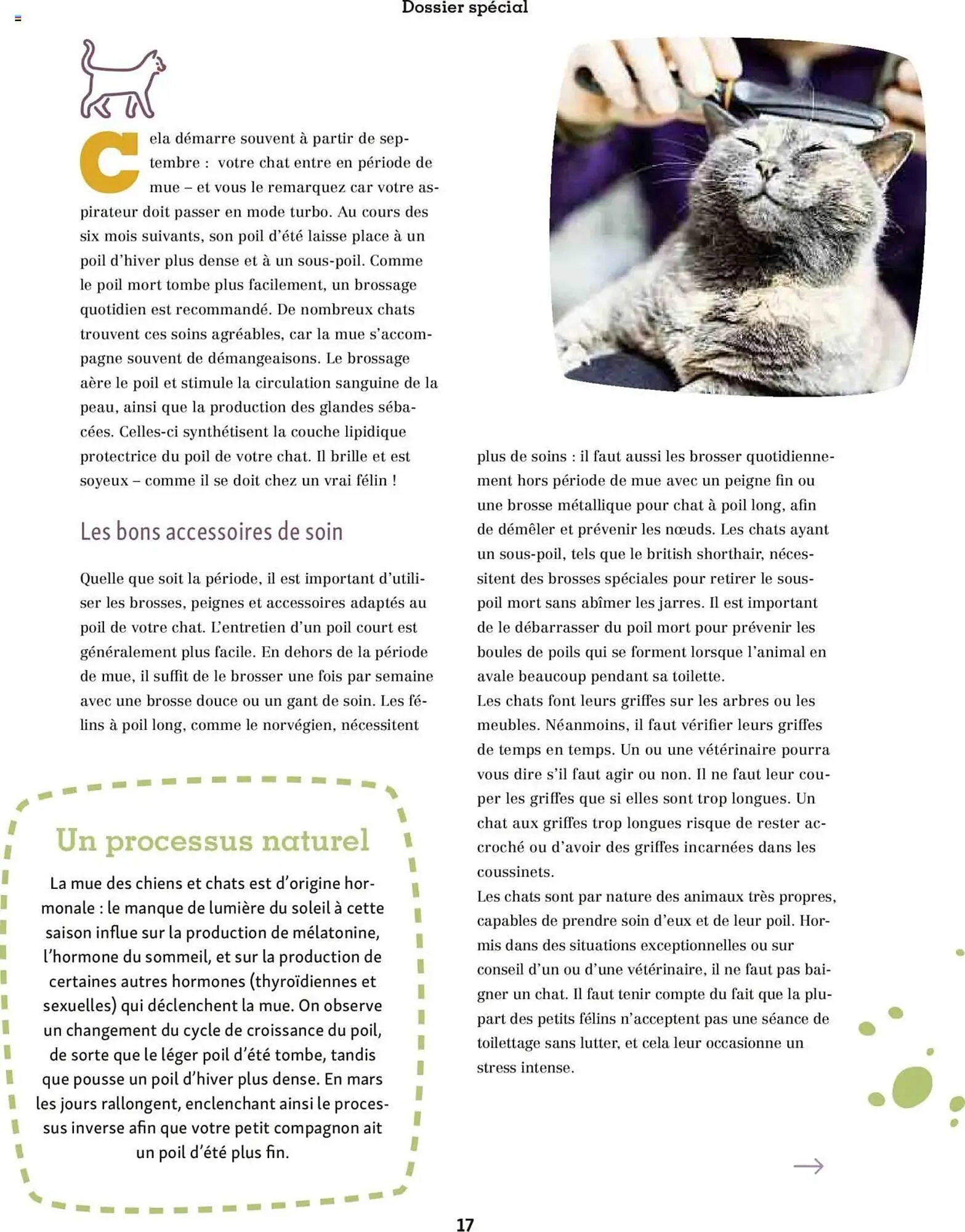Catalogue Maxi Zoo du 1 octobre au 20 novembre 2025 - Catalogue page 17