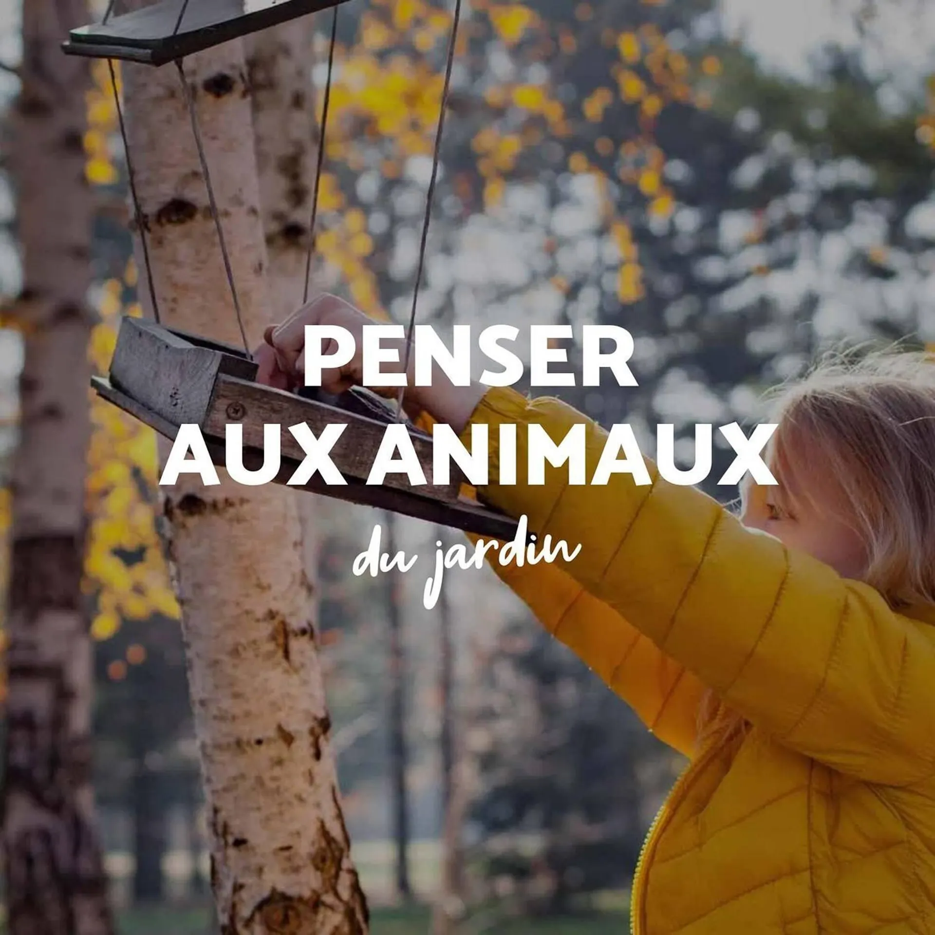 Catalogue Bricomarché du 1 octobre au 29 novembre 2025 - Catalogue page 66