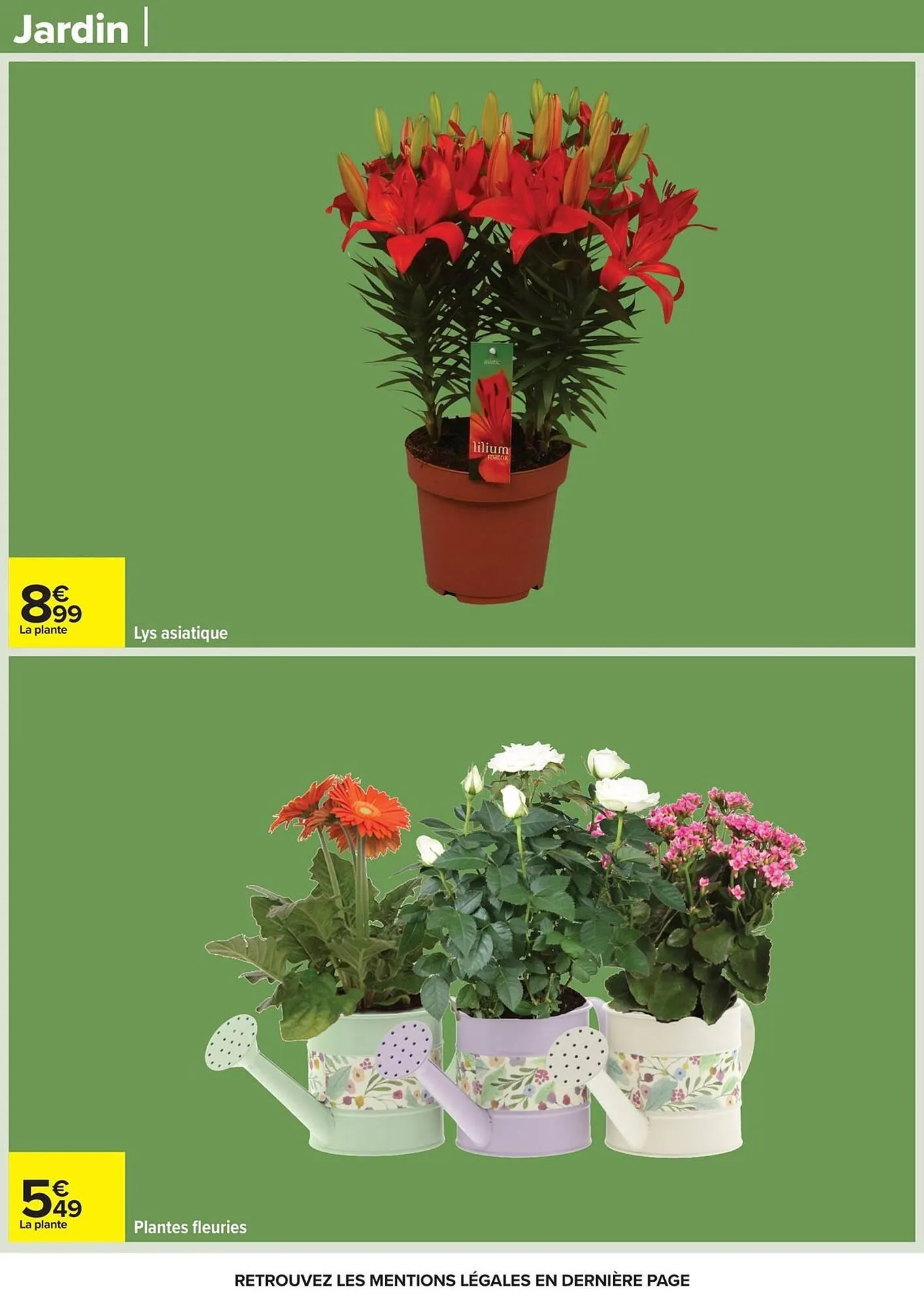 Catalogue Carrefour du 31 mars au 13 avril 2026 - Catalogue page 65