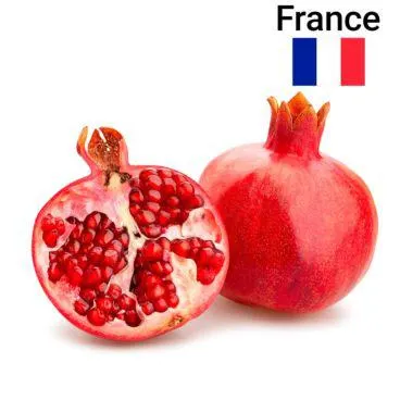 Grenade Pièce Bio