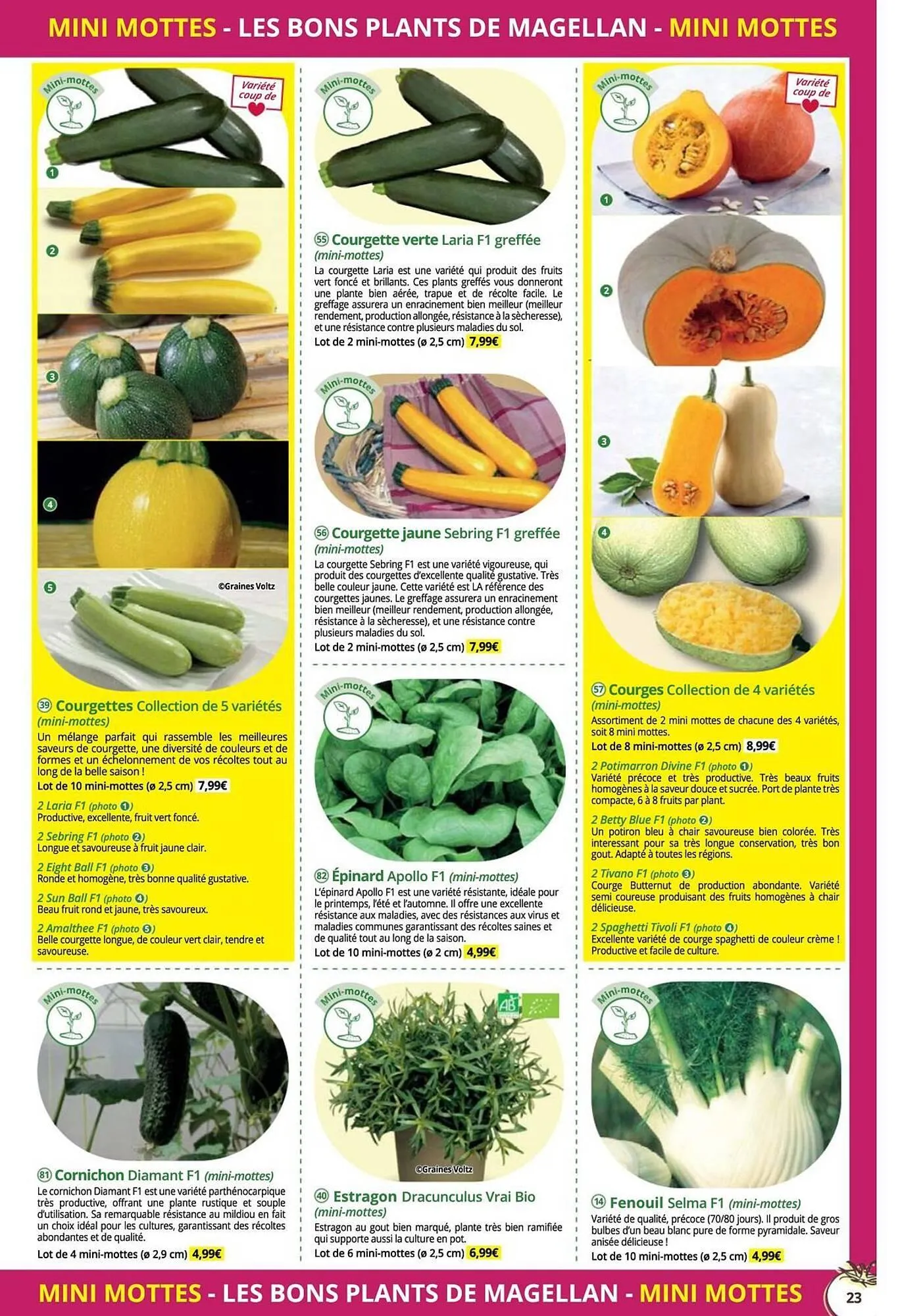 Catalogue Magellan du 16 décembre au 31 décembre 2025 - Catalogue page 23