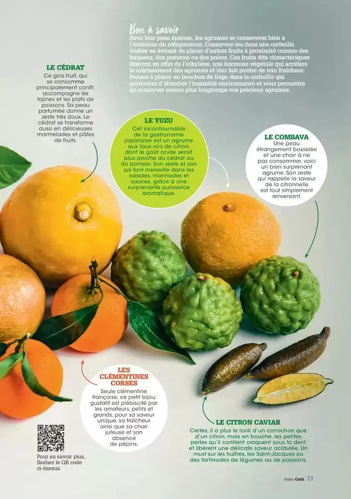 Hiver 2024 du 3 décembre au 20 mars 2025 - Catalogue page 11