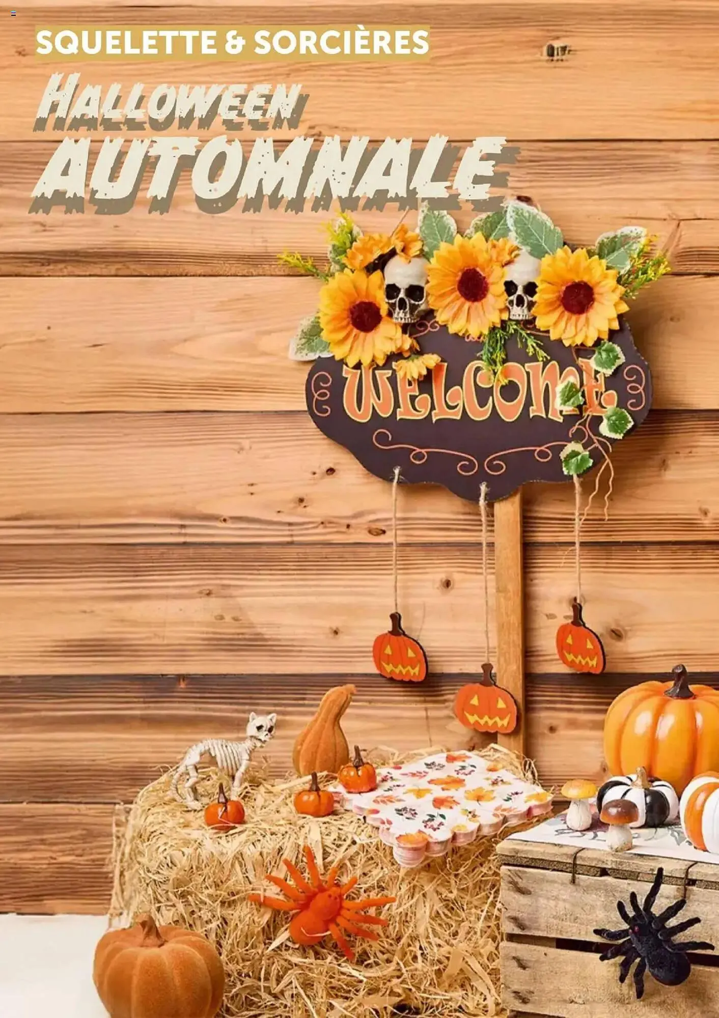 Catalogue Centrakor du 13 octobre au 26 octobre 2025 - Catalogue page 30