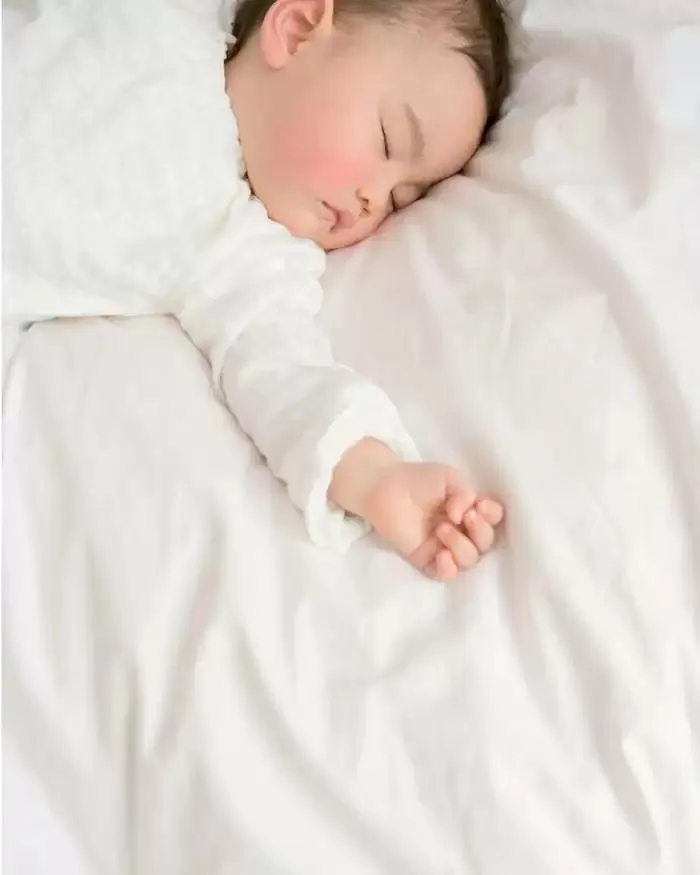 Collection 2024-2025 du 20 août au 30 juin 2025 - Catalogue page 201