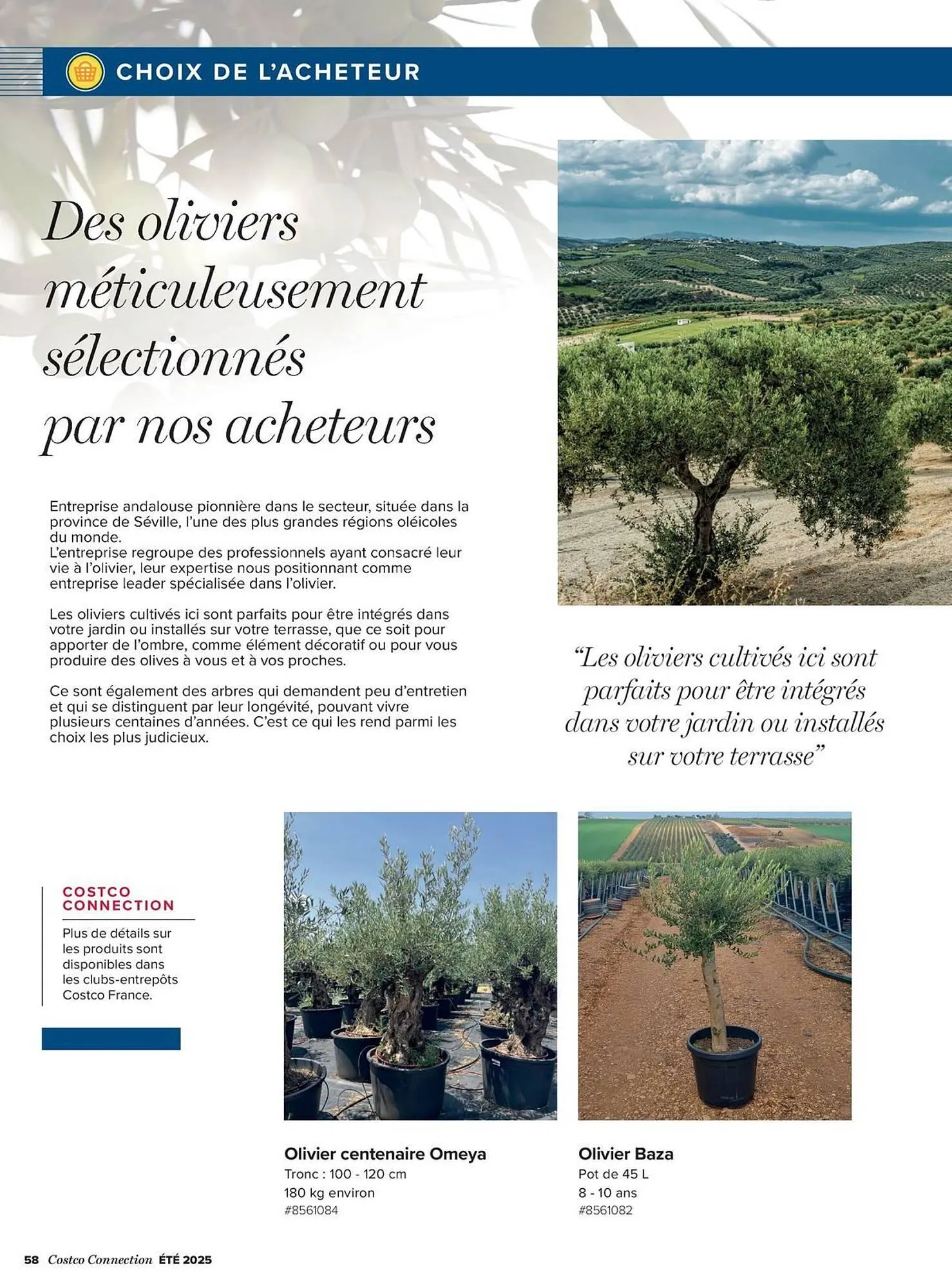 Catalogue Costco du 8 août au 31 août 2025 - Catalogue page 58