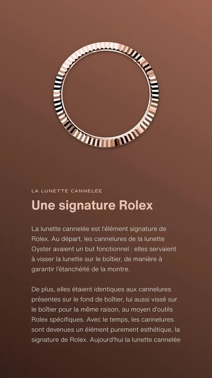 Rolex Sky Dweller du 24 septembre au 23 septembre 2025 - Catalogue page 5