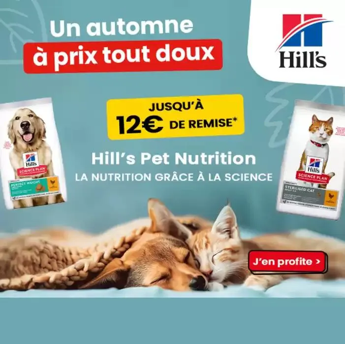 Friandises pour chien - 1