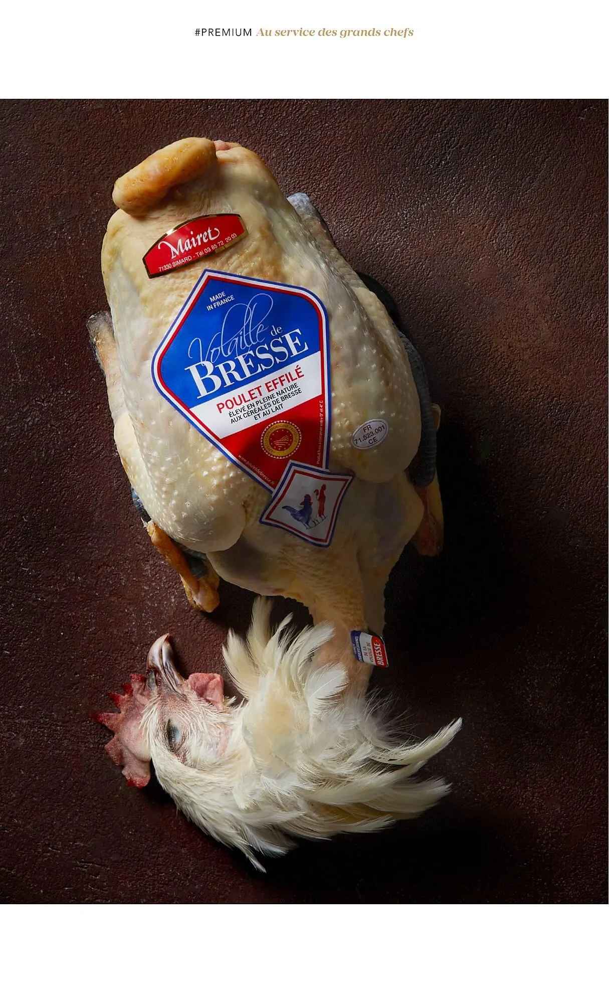 Catalogue METRO du 1 juillet au 31 décembre 2025 - Catalogue page 26