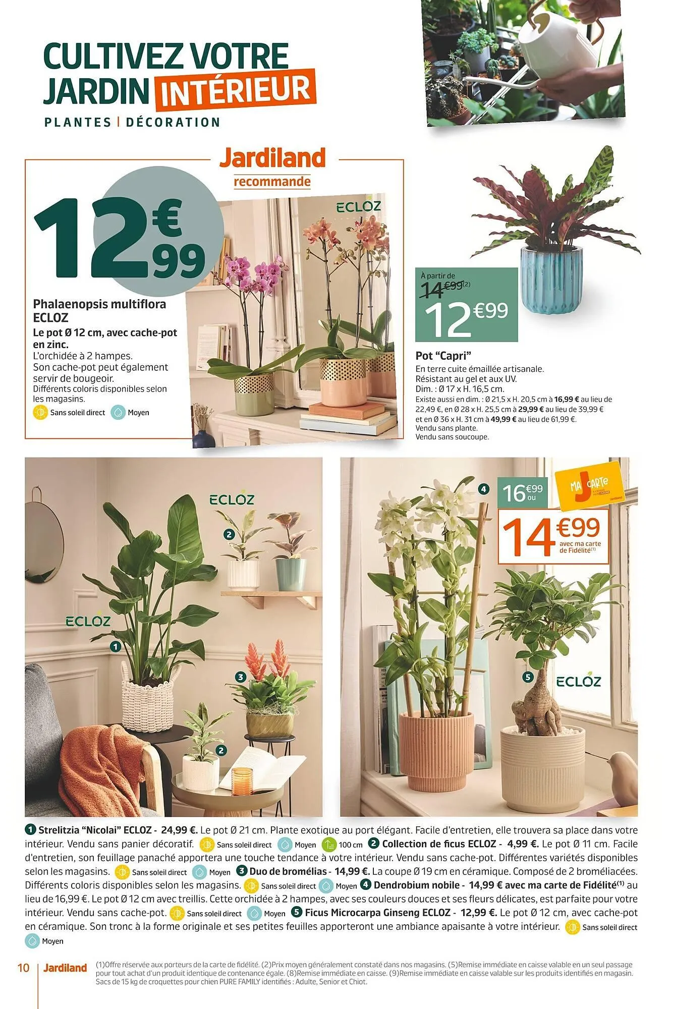 Catalogue Jardiland du 22 octobre au 2 novembre 2025 - Catalogue page 10