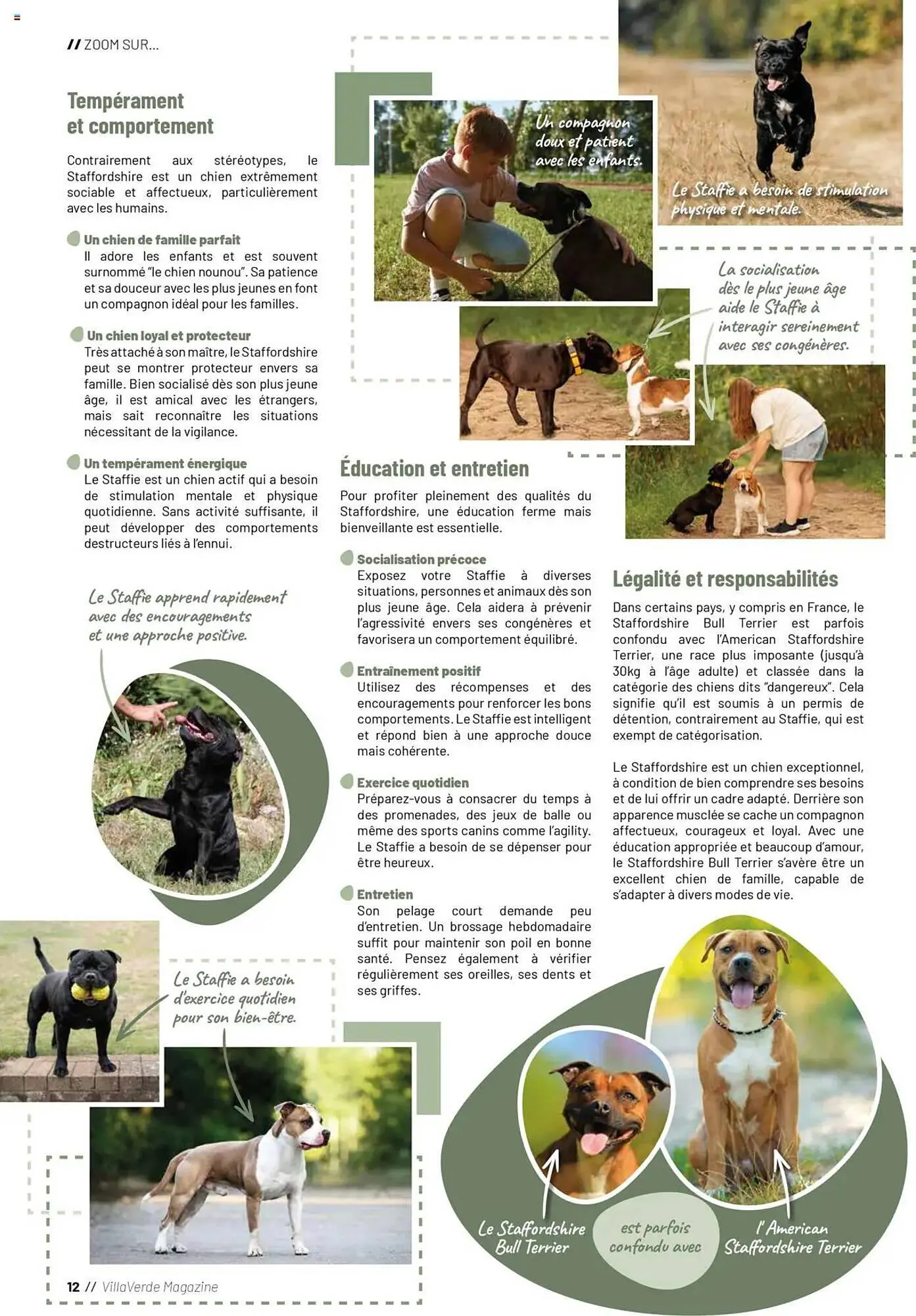 Catalogue VillaVerde du 20 mai au 1 janvier 2026 - Catalogue page 12