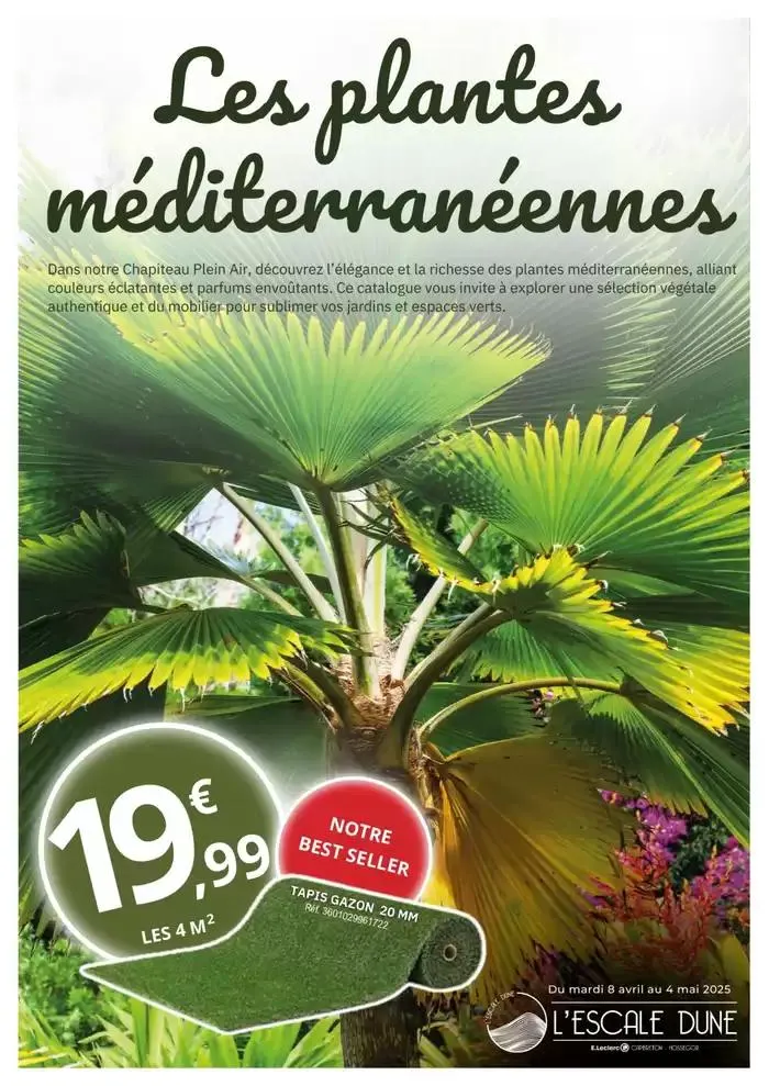 plantes méditerranéennes du 8 avril au 4 mai 2025 - Catalogue page 1
