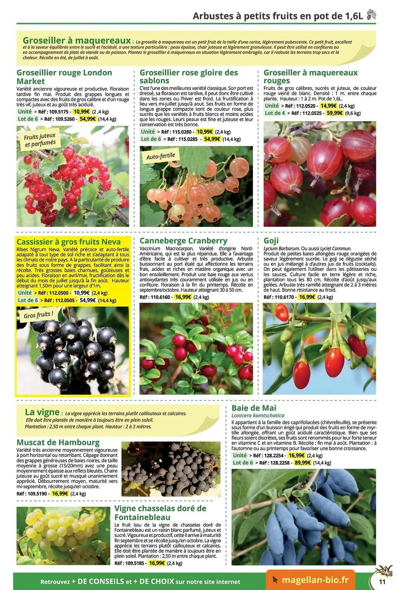 Catalogue Magellan du 16 décembre au 31 décembre 2025 - Catalogue page 11