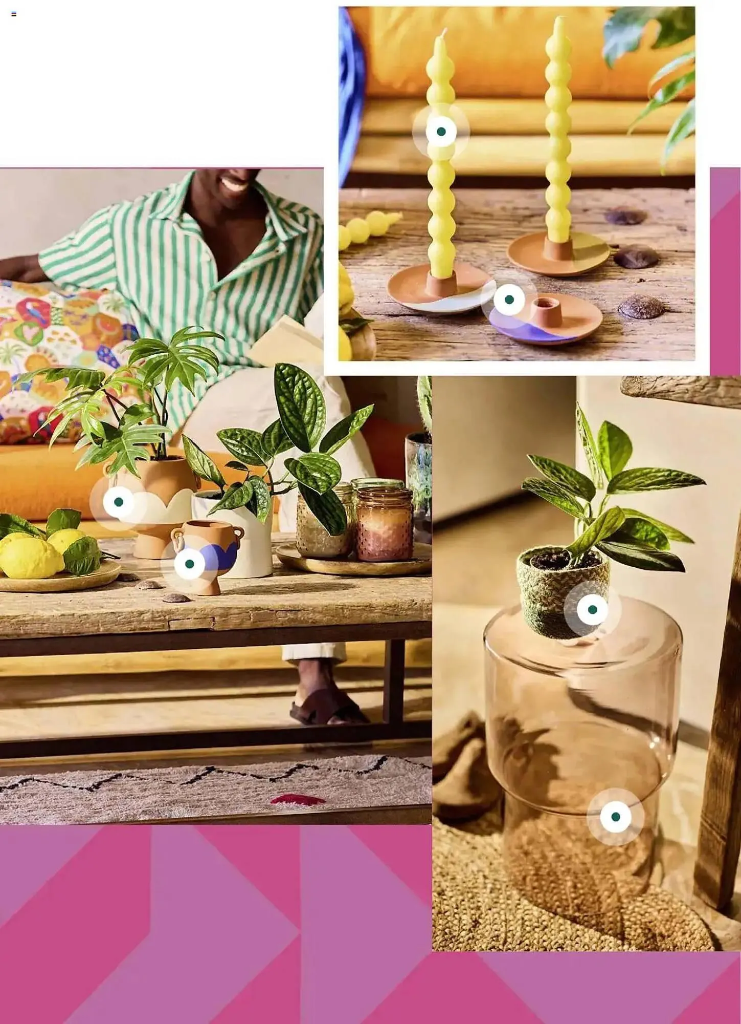 Catalogue Truffaut du 7 mai au 31 juillet 2025 - Catalogue page 15