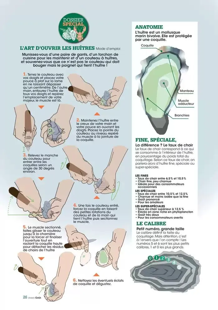 Hiver 2024 du 3 décembre au 20 mars 2025 - Catalogue page 26