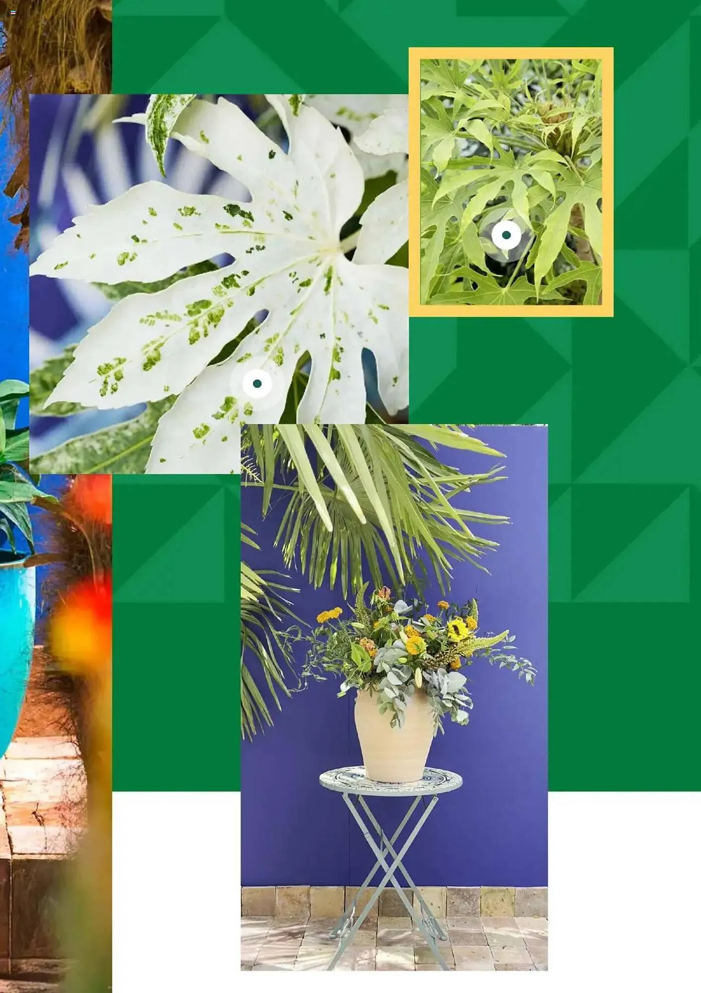 Catalogue Truffaut du 7 mai au 31 juillet 2025 - Catalogue page 7