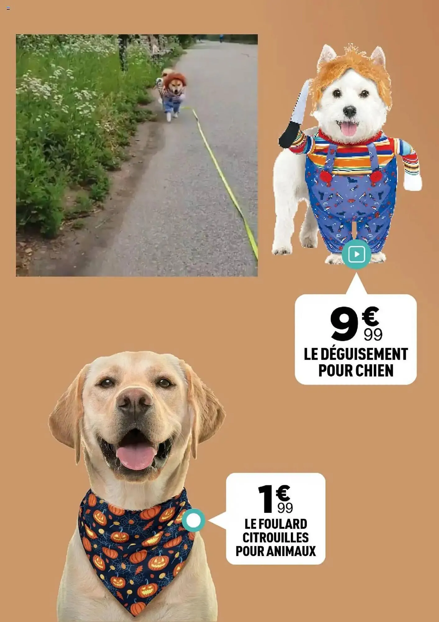 Catalogue Centrakor du 13 octobre au 26 octobre 2025 - Catalogue page 37