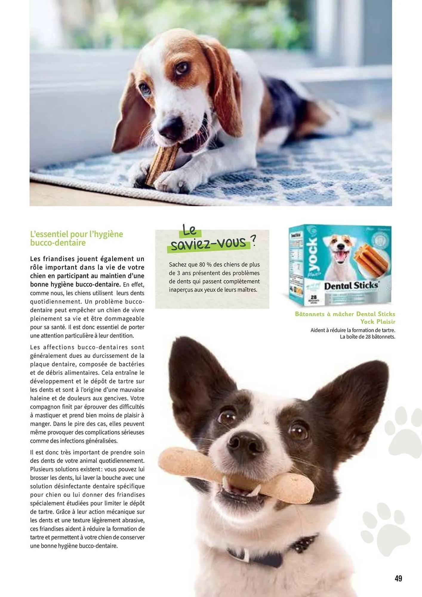 Catalogue Point Vert du 30 avril au 31 décembre 2025 - Catalogue page 49