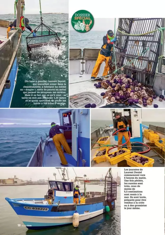 Hiver 2024 du 3 décembre au 20 mars 2025 - Catalogue page 18