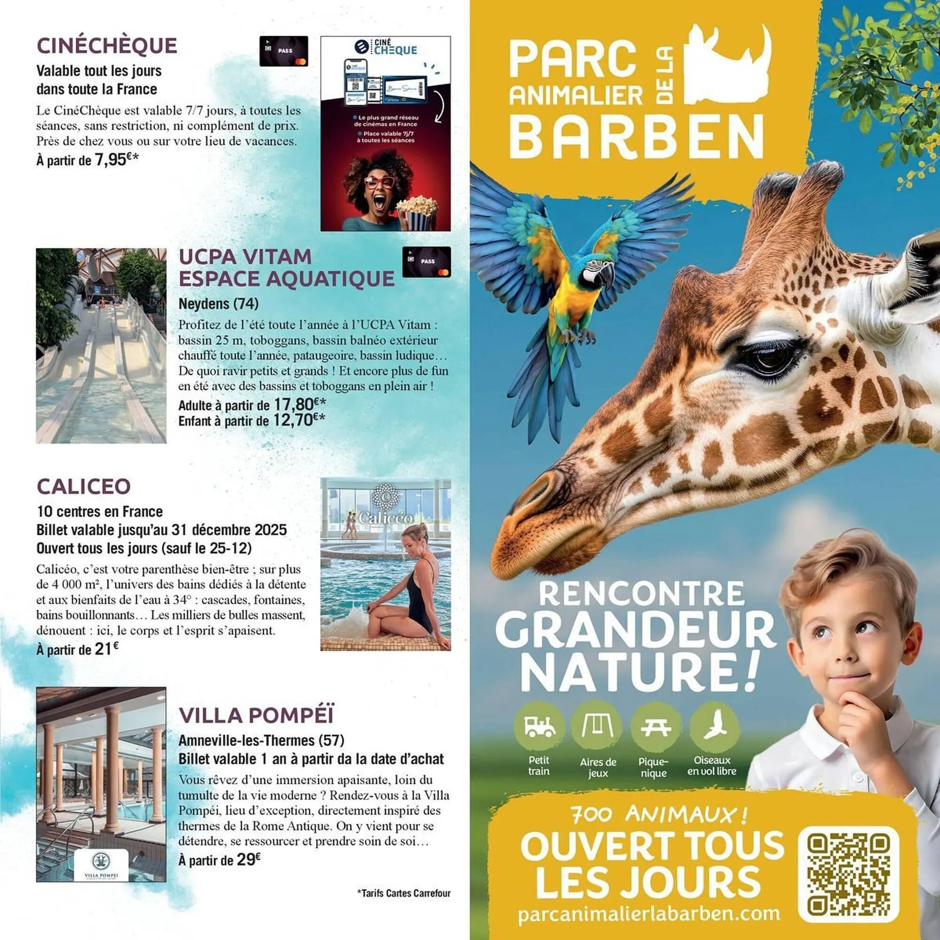 Catalogue Carrefour Market du 1 octobre au 8 mars 2026 - Catalogue page 17