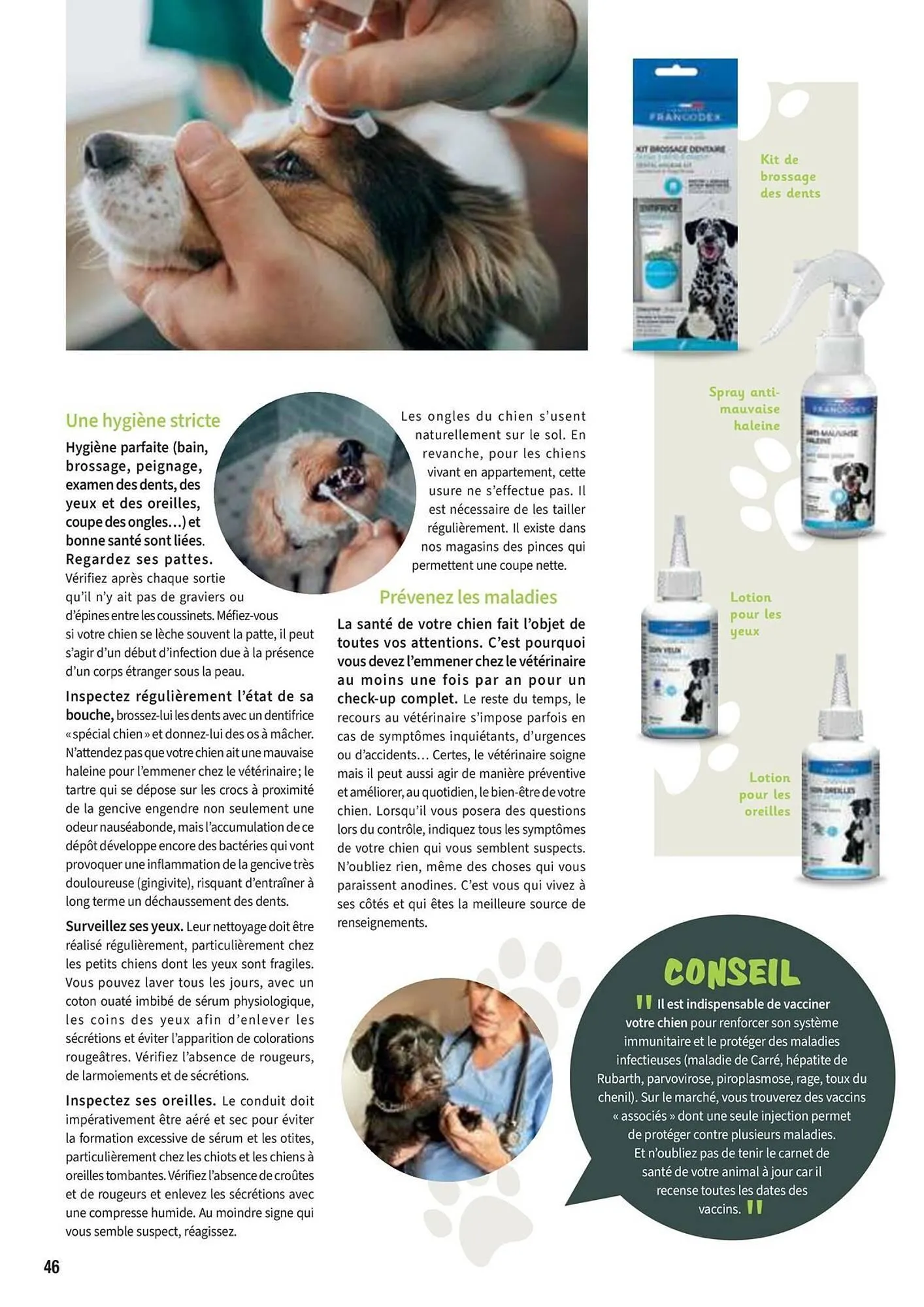 Catalogue Point Vert du 30 avril au 31 décembre 2025 - Catalogue page 46