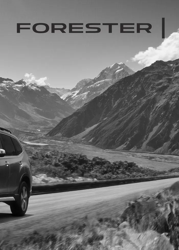 Forester du 13 décembre au 31 juillet 2025 - Catalogue page 31