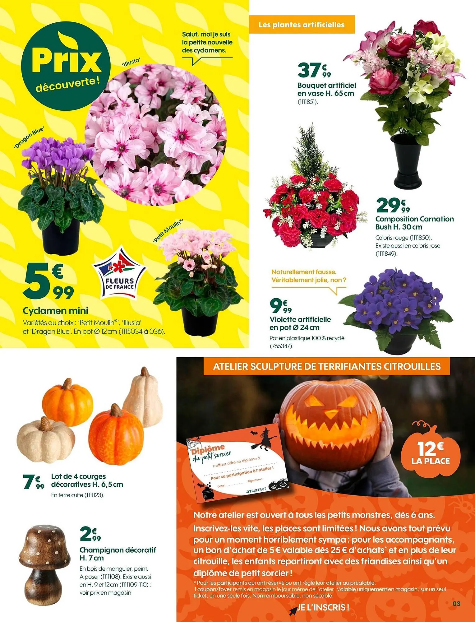 Catalogue Truffaut du 17 octobre au 2 novembre 2025 - Catalogue page 3