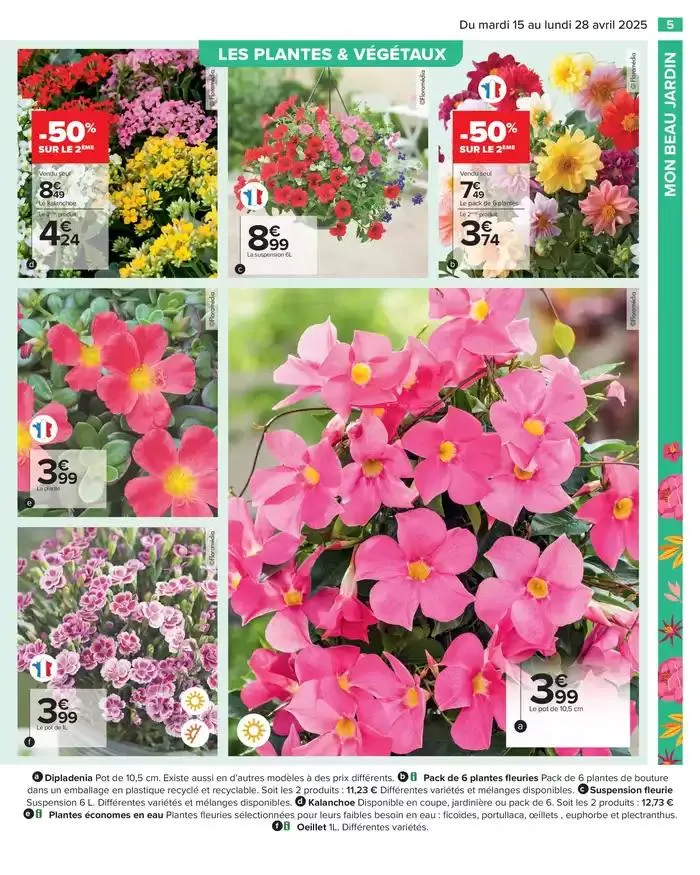 PROFITER ENFIN DE SON JARDIN du 15 avril au 28 avril 2025 - Catalogue page 5