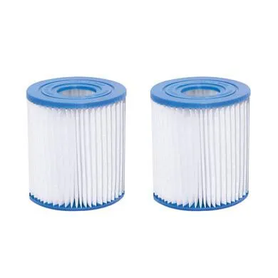Lot de 2 cartouches de filtration type I PG