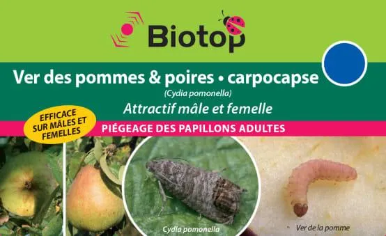 Phéromone carpocapse des pommes mâle-femelle Cydia pomonella boîte d'1 capsule - BIOTOP