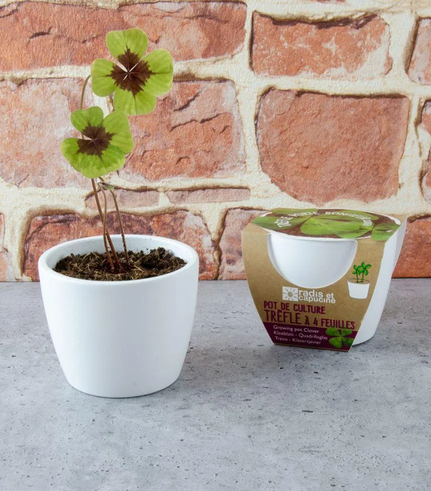 Mini kit de plantation biologique - Radis et Capucine Trefle