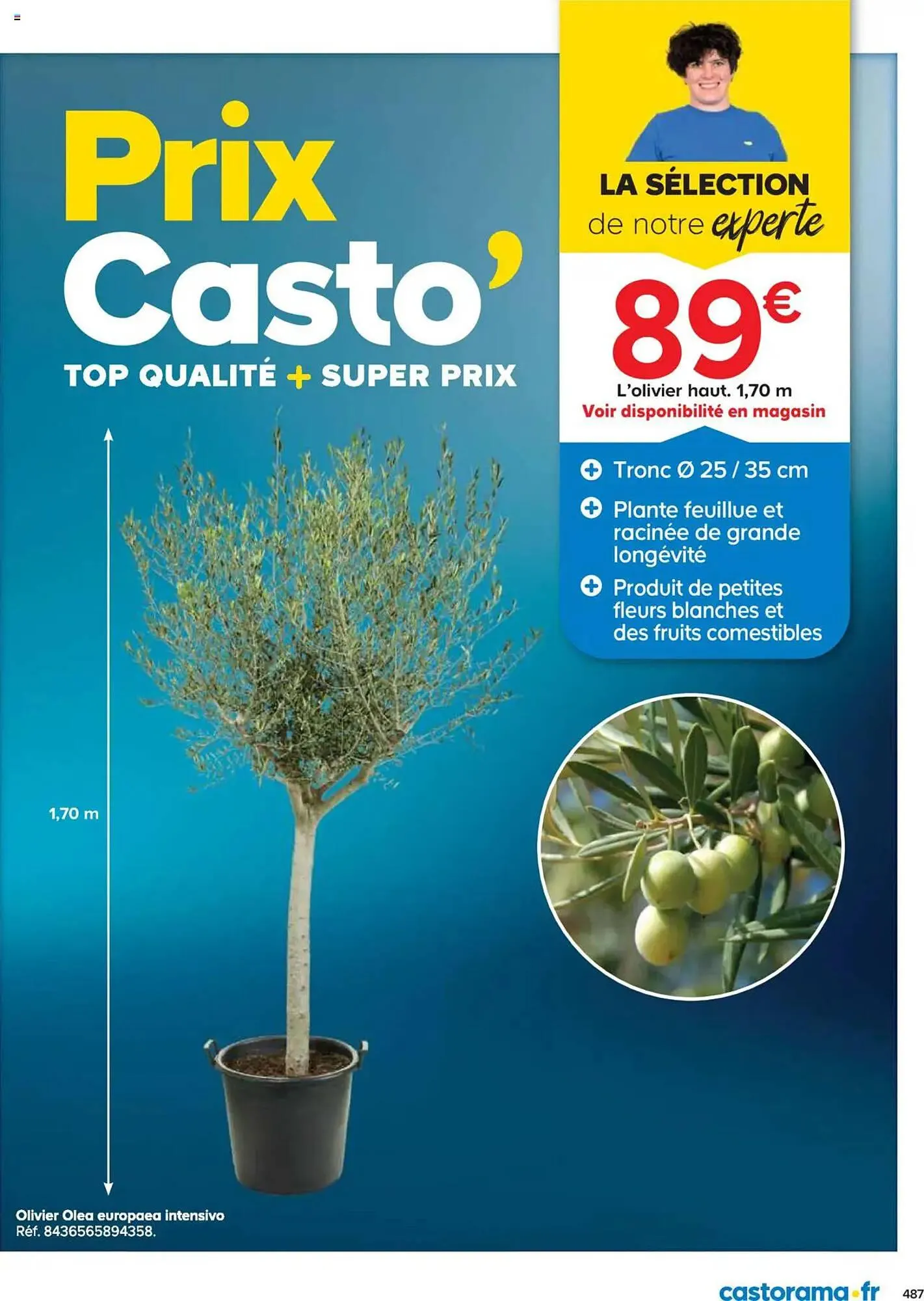 Catalogue Castorama du 21 mai au 31 décembre 2025 - Catalogue page 487