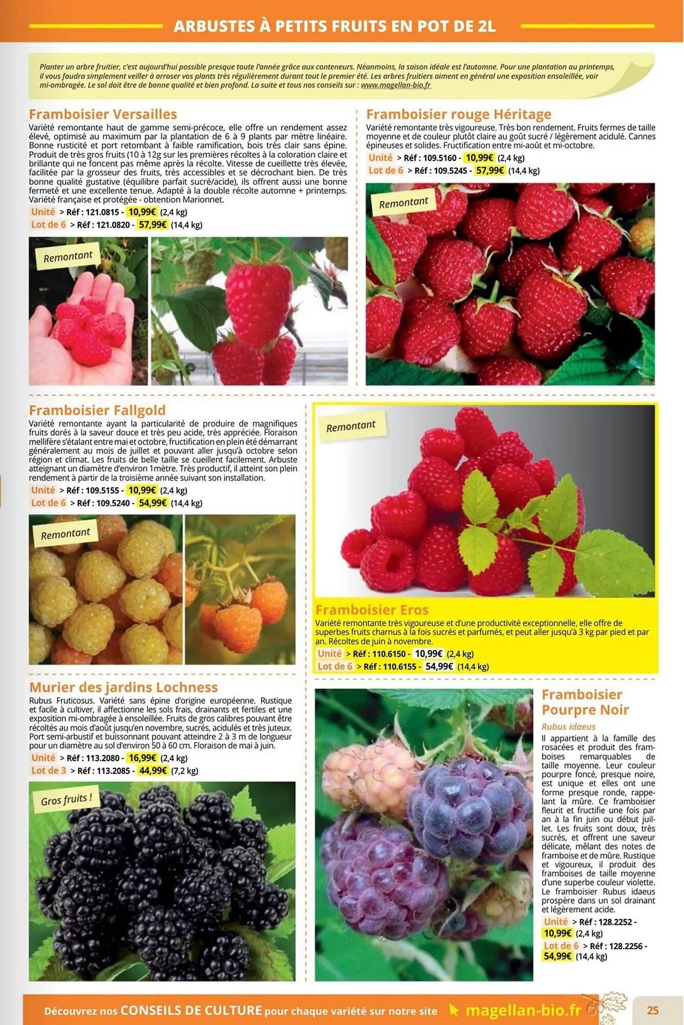 Catalogue Magellan du 1 septembre au 30 novembre 2025 - Catalogue page 25