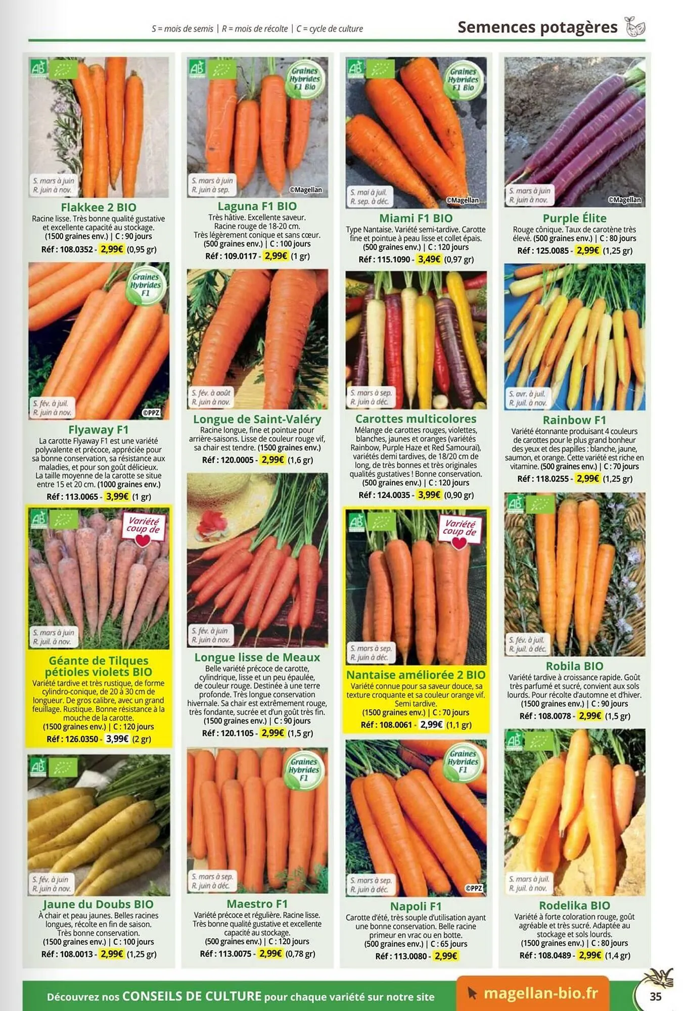 Catalogue Magellan du 1 janvier au 31 décembre 2026 - Catalogue page 35