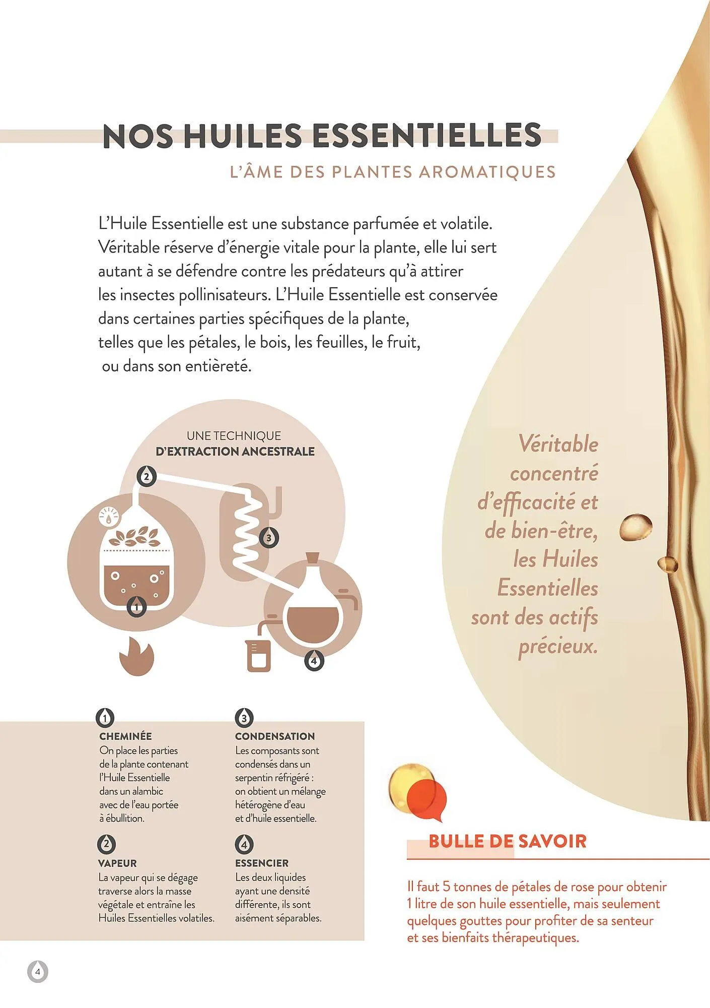 Catalogue Stanhome du 6 janvier au 31 mai 2025 - Catalogue page 4