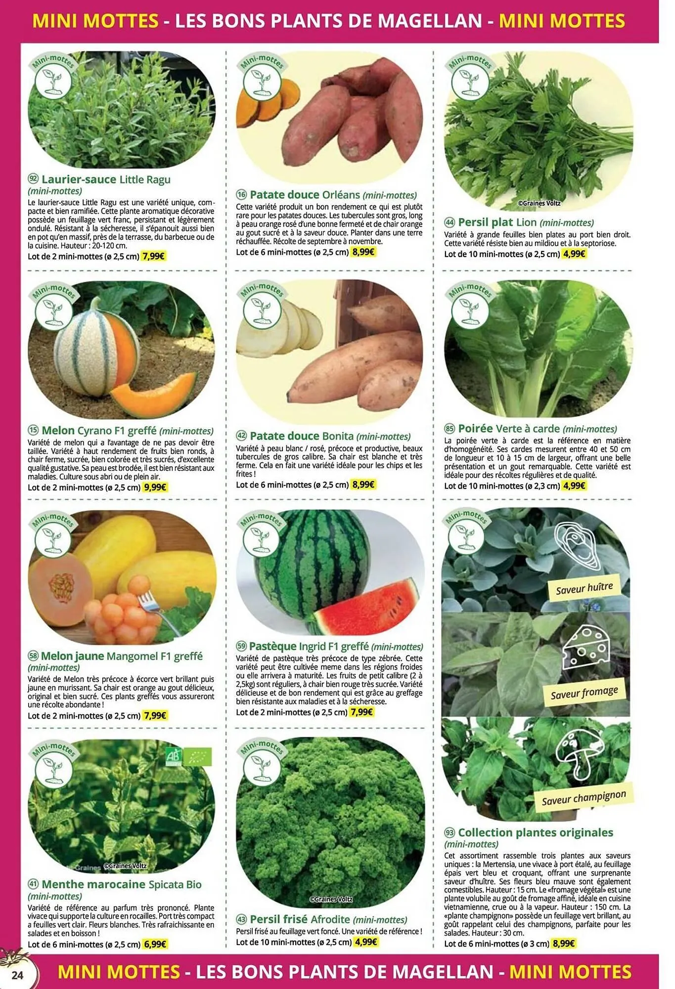 Catalogue Magellan du 16 décembre au 31 décembre 2025 - Catalogue page 24