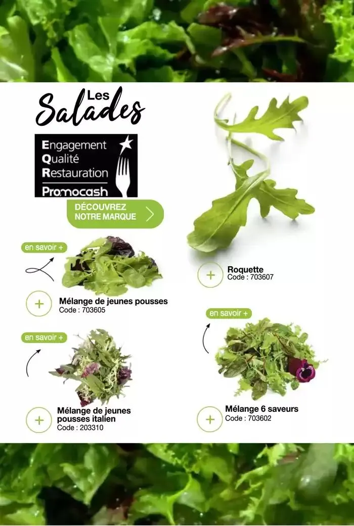 Menus de printemps du 20 mars au 12 avril 2025 - Catalogue page 6