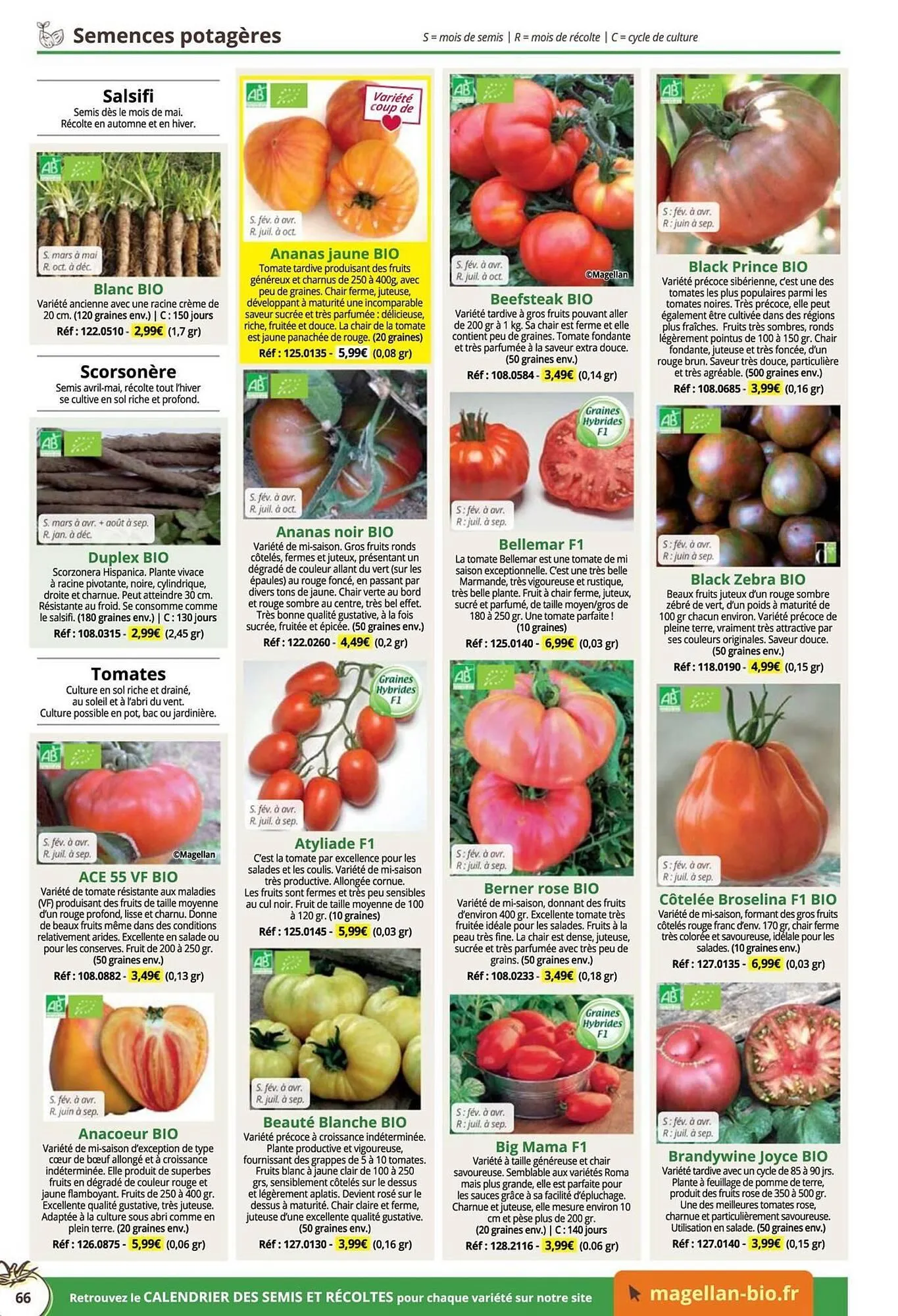 Catalogue Magellan du 16 décembre au 31 décembre 2025 - Catalogue page 66
