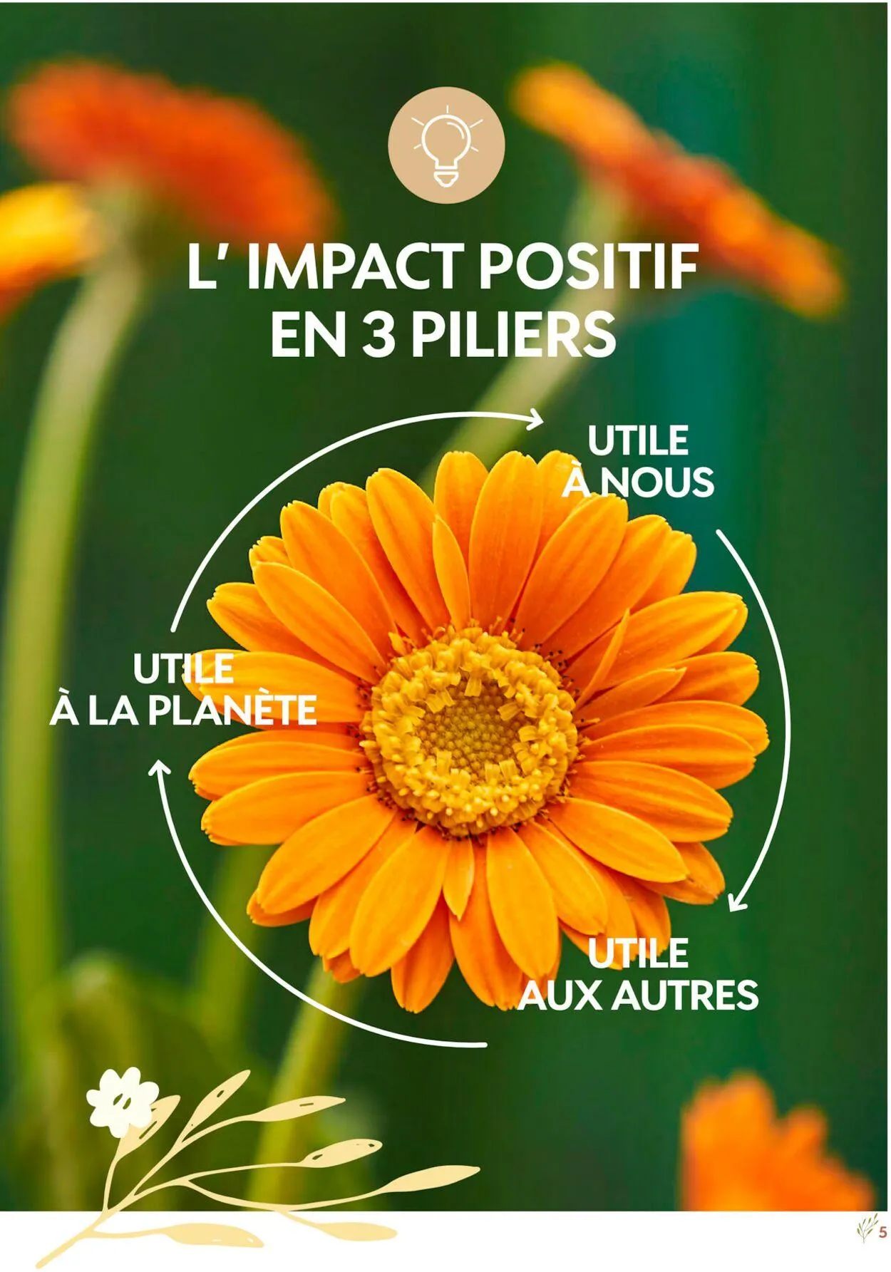 Truffaut du 1 janvier au 31 décembre 2030 - Catalogue page 5