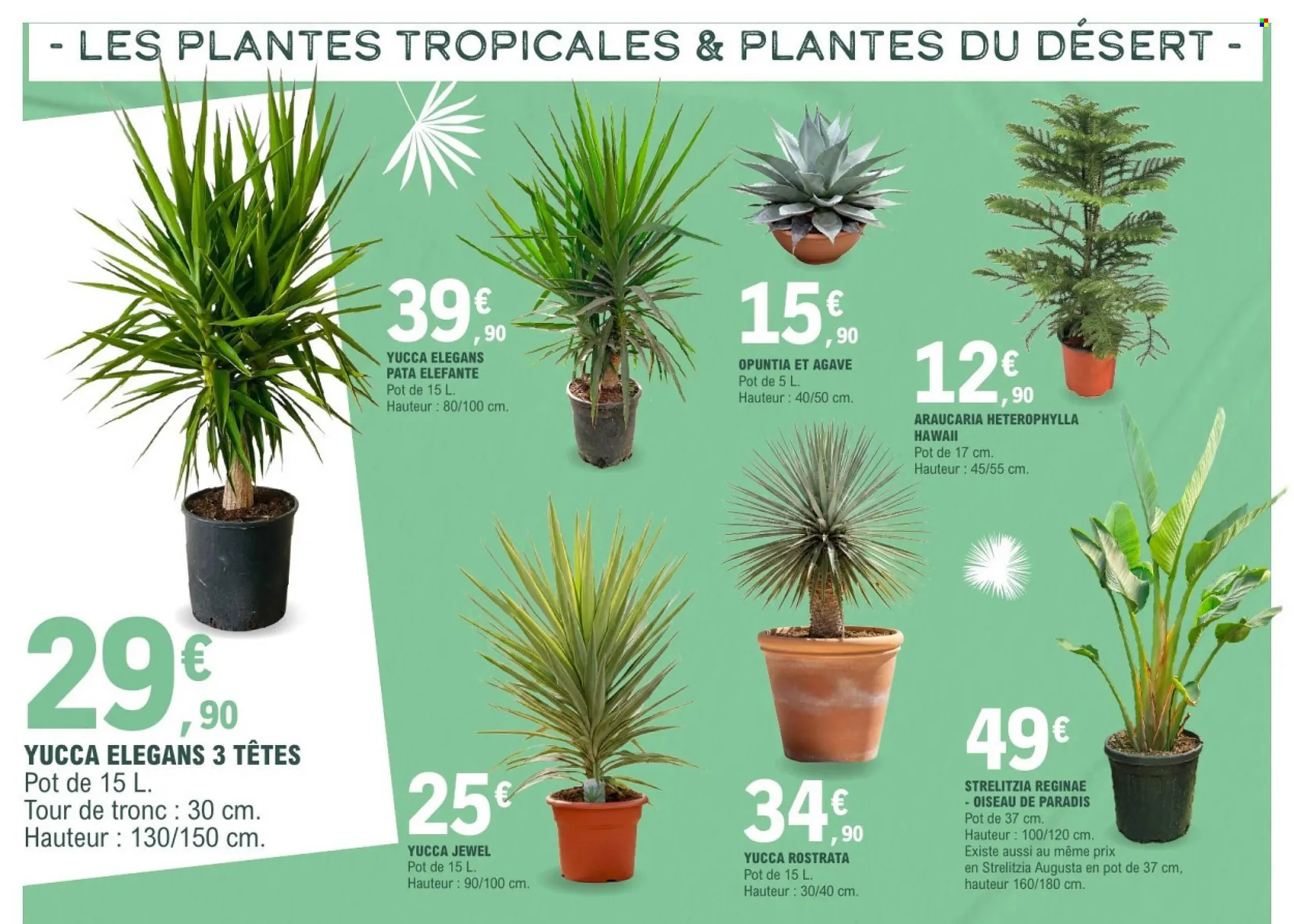 Catalogue E.Leclerc du 17 mars au 28 mars 2026 - Catalogue page 6