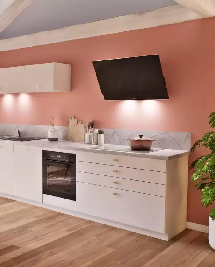 SCHMIDT 2025 du 8 janvier au 31 décembre 2025 - Catalogue page 77