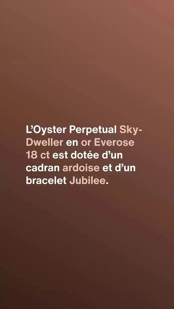 Rolex Sky Dweller du 13 décembre au 13 décembre 2025 - Catalogue page 2