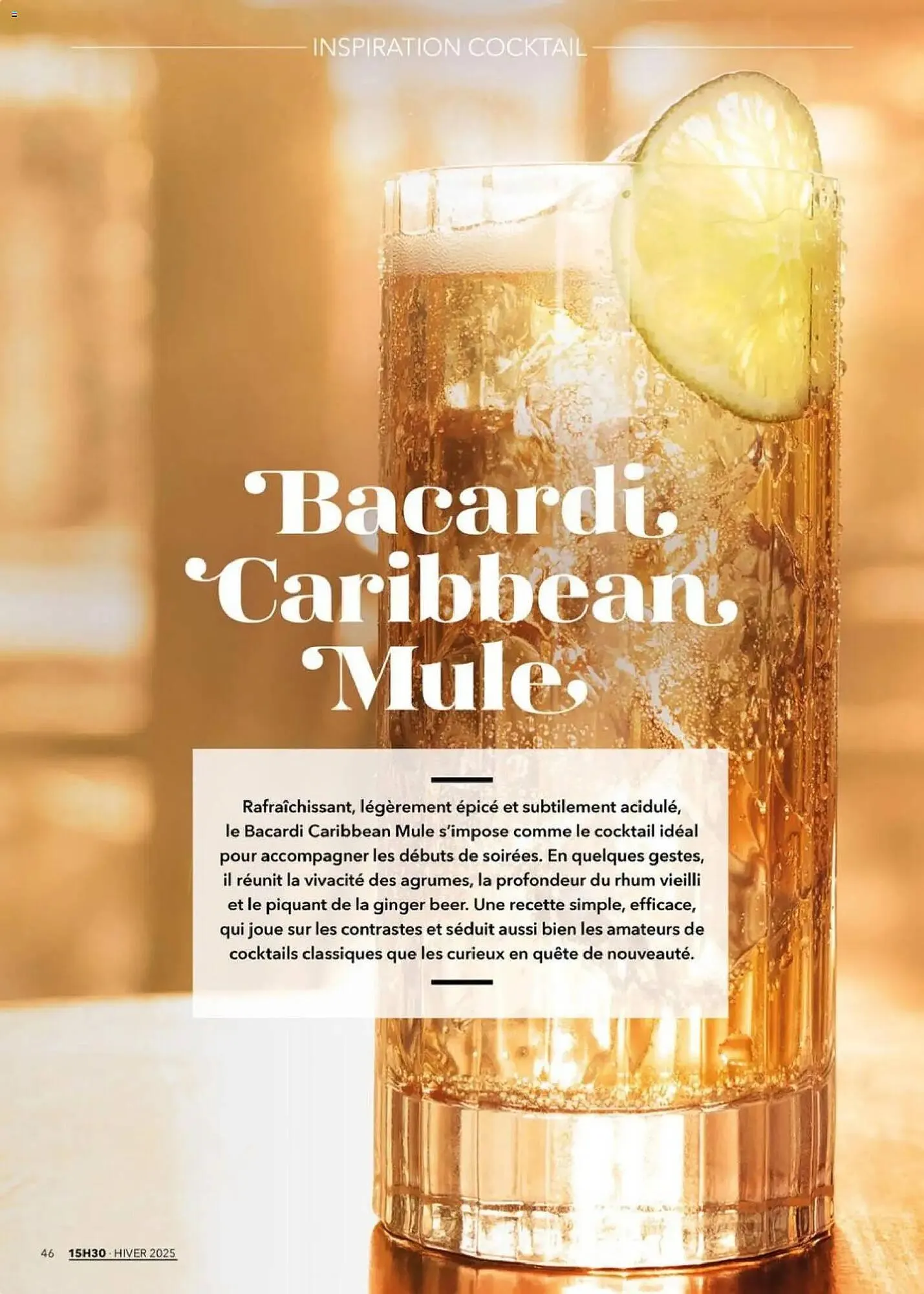 Catalogue METRO du 1 décembre au 22 janvier 2026 - Catalogue page 46