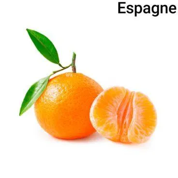 Mandarine 500g Bio