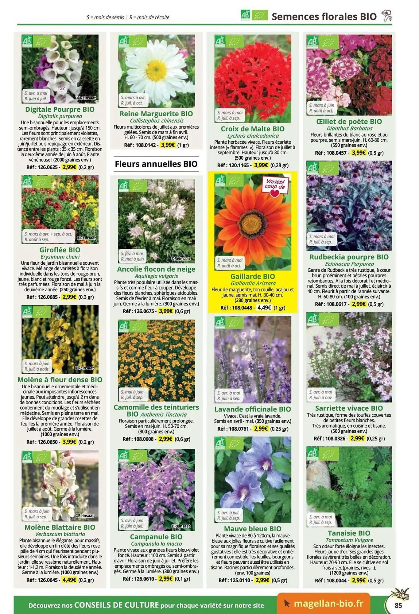 Catalogue Magellan du 16 décembre au 31 décembre 2025 - Catalogue page 85