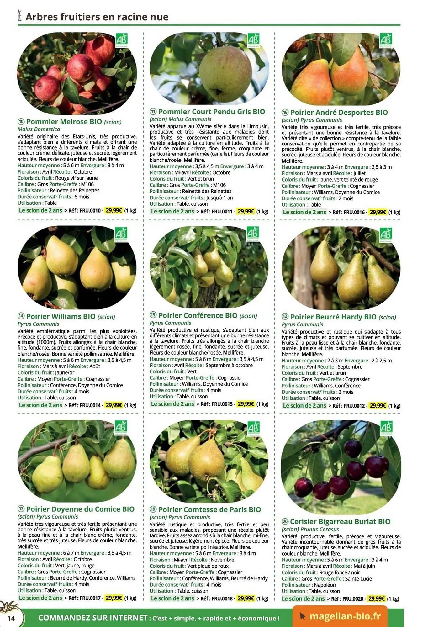 Catalogue Magellan du 16 décembre au 31 décembre 2025 - Catalogue page 14