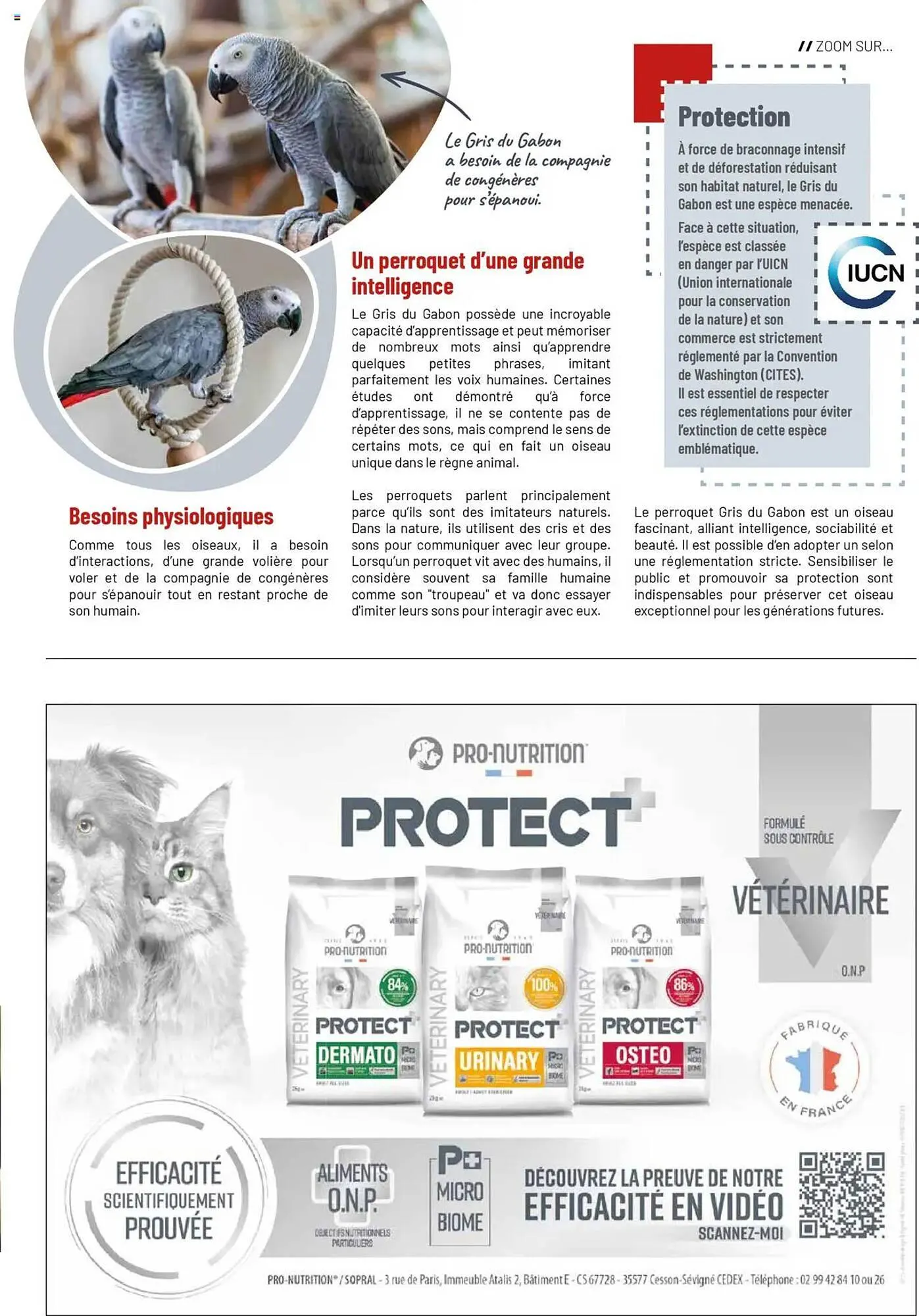 Catalogue VillaVerde du 20 mai au 1 janvier 2026 - Catalogue page 17